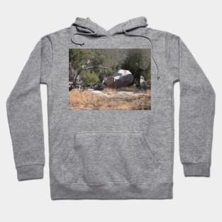 Southwest Branch and Rock No. 1 Hoodie